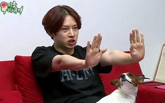 金希澈太搞笑,笑点满满，欢乐源泉